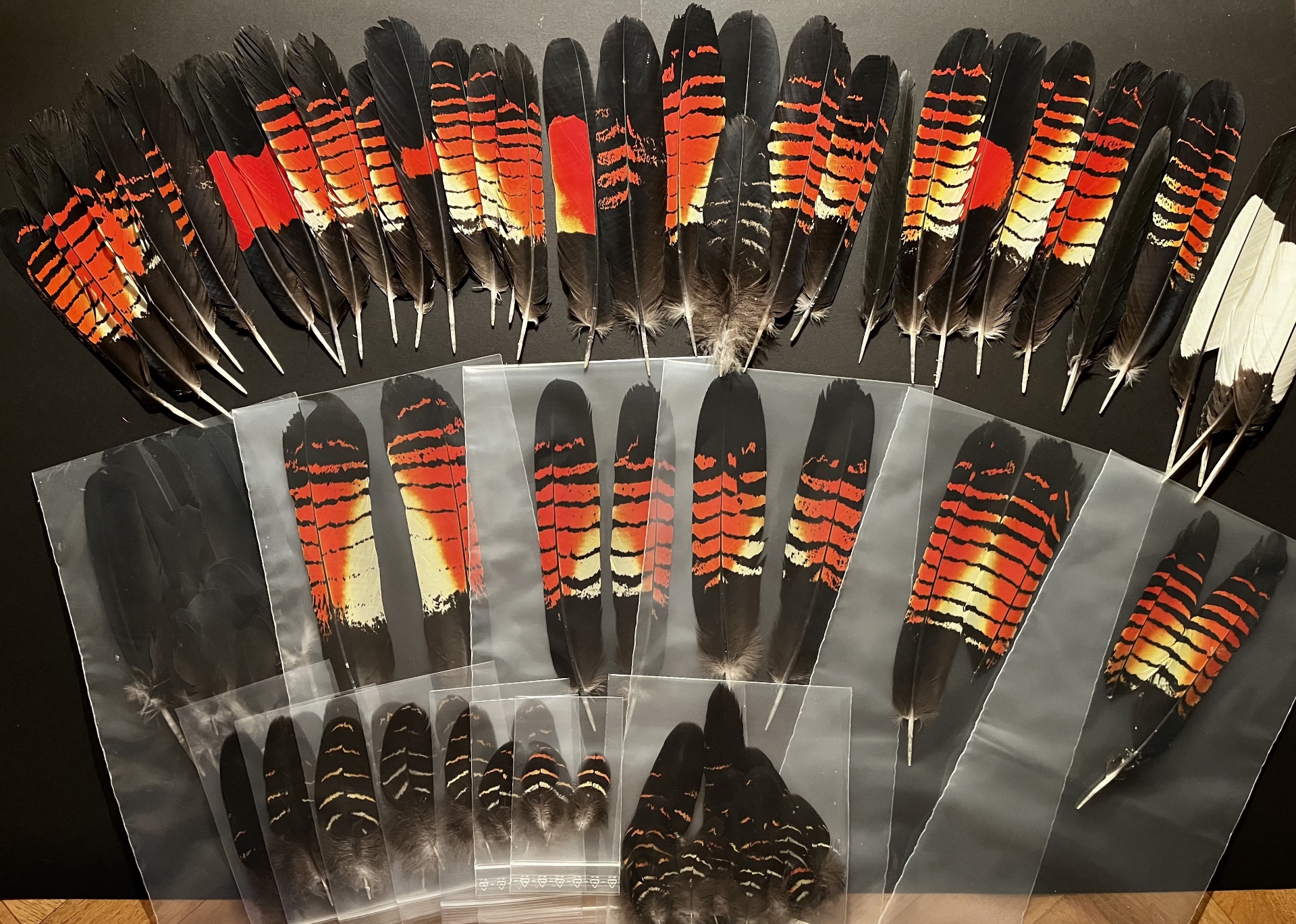 Banded & Barred